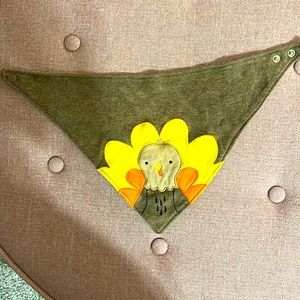Carters thanksgiving bib